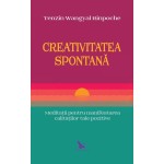 Creativitatea spontană – Tenzin Wangyal Rinpoche