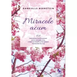 Miracole acum – Gabrielle Bernstein